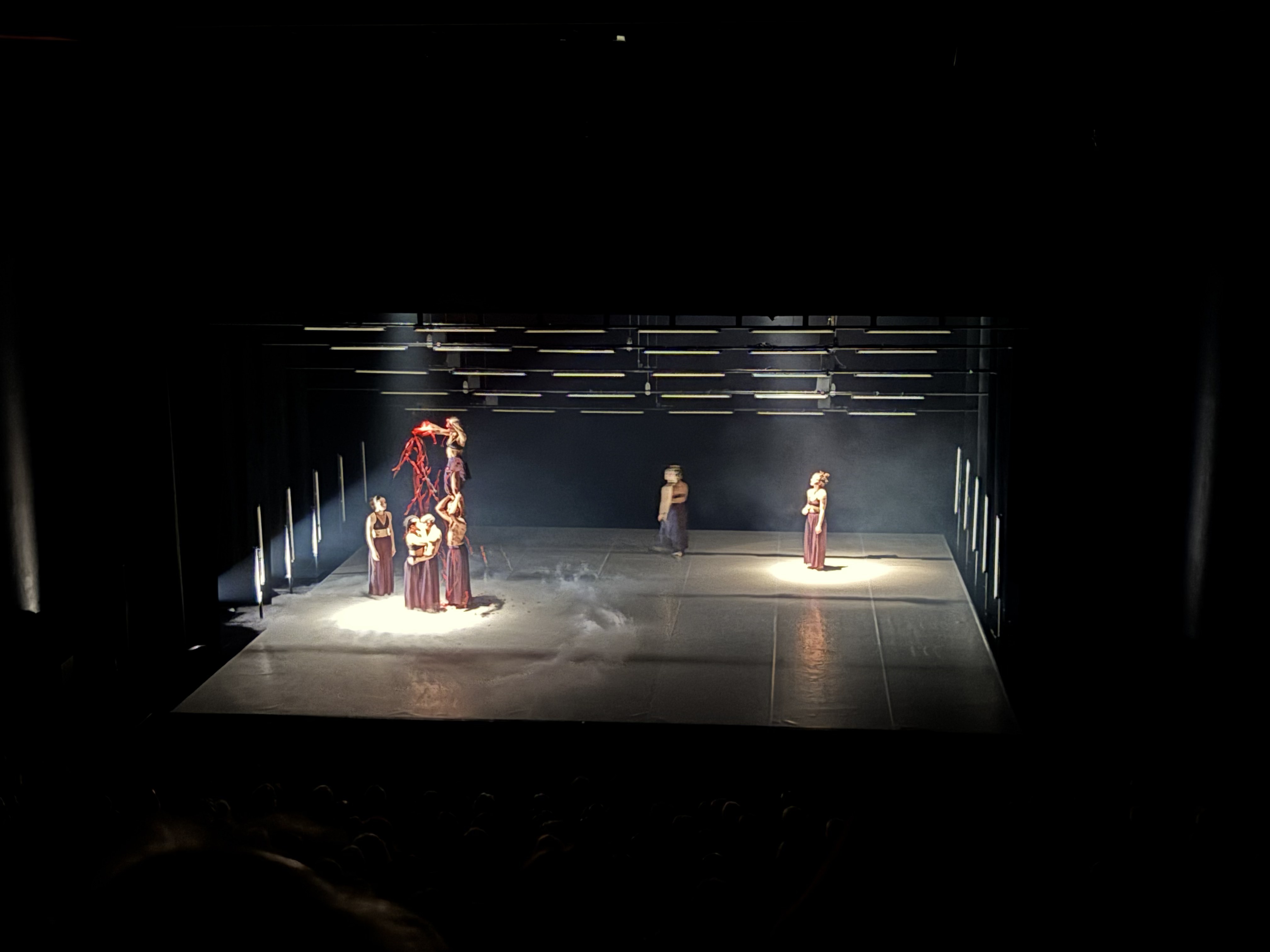 Dividus — Nacim Battou